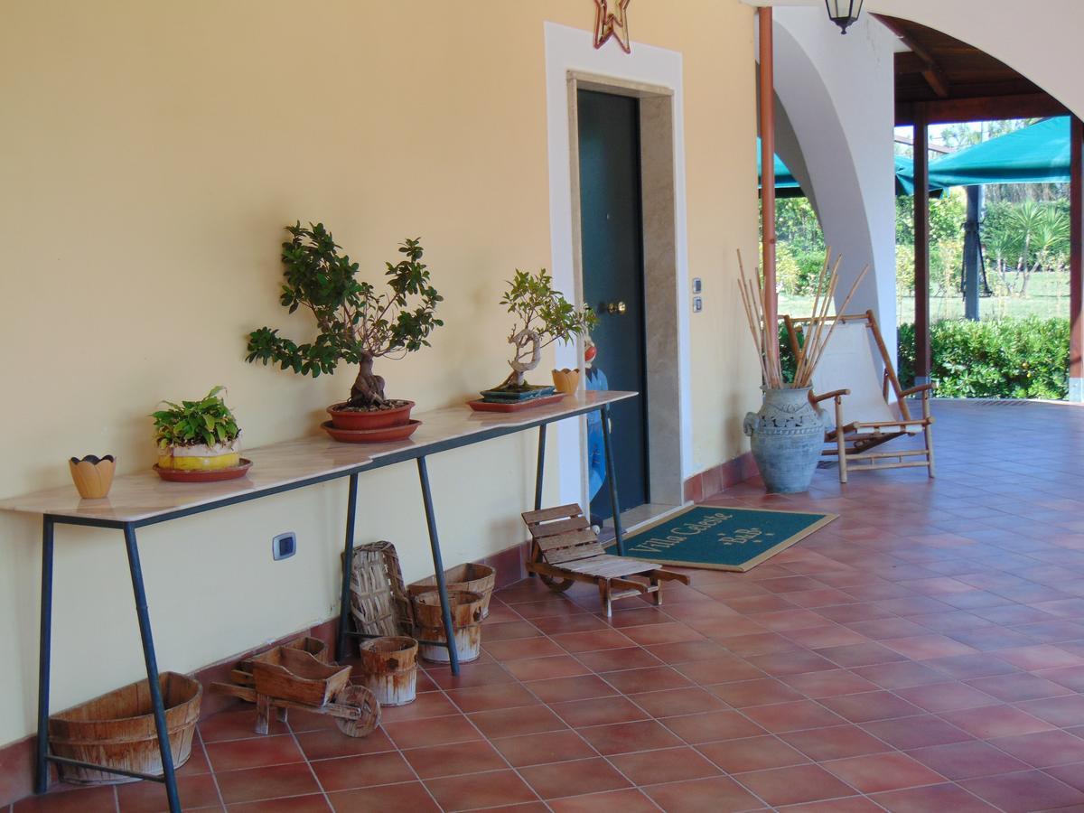 Villa Celeste B&B Pontecagnano Exteriör bild
